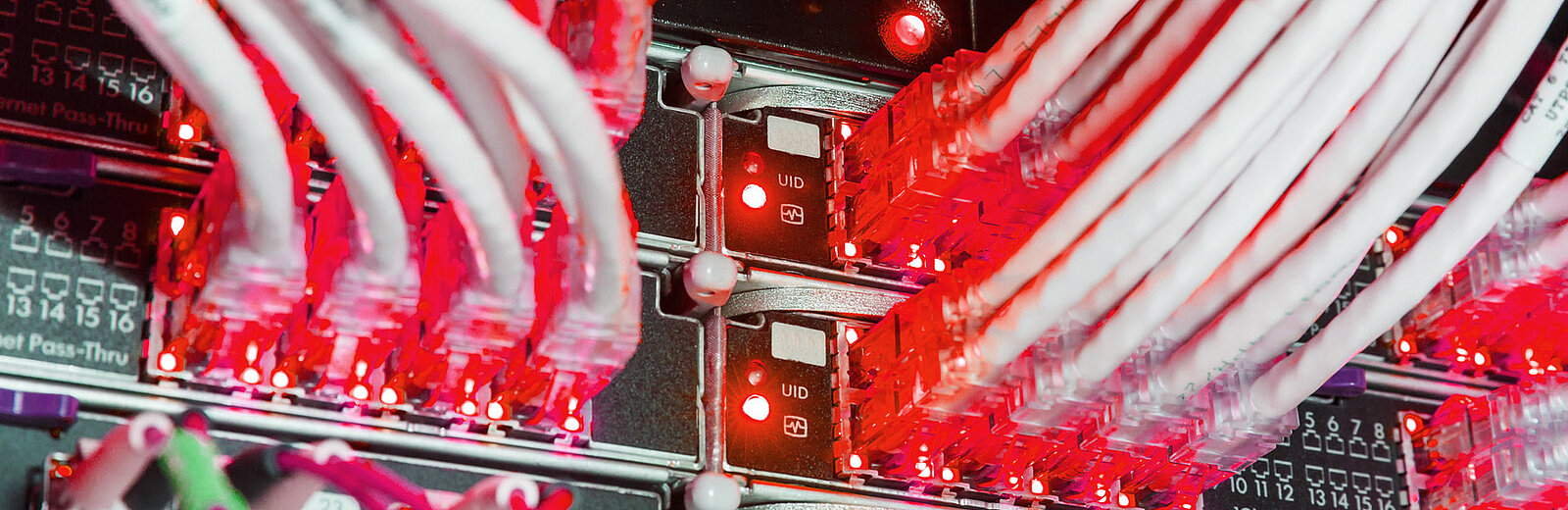 Rote Netzwerkverbindungen in einem Server-Rack, mit blinkenden Lichtern und Kabeln in Nahaufnahme.